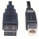 Cable USB A to USB B - 2619 CUP